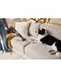 Shark IP3251UKT PowerDetect Clean & Empty Cordless Pet Vacuum Cleaner - 70 Minutes Run Time - White/Java Grey
